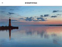 Tablet Screenshot of eyespyfish.com